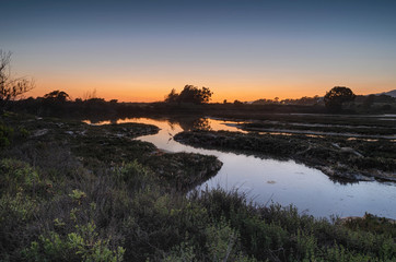 Sunset at the The Goleta Slough wetlands habitat