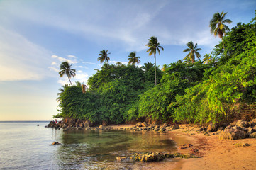 Beautiful tropical summer view of Puerto Rico with palm trees at the beach