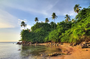 Fotobehang Beautiful tropical summer view of Puerto Rico with palm trees at the beach © dennisvdwater