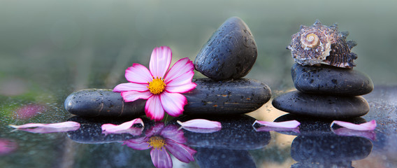 Black spa stones and pink cosmos flower isolated on green.