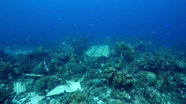 Elvin's Plane Wreck near Playa Kalki/ Cura&ccedil;ao /Netherlands Antilles