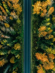 Aerial view of road in autumn forest. Fall landscape with road, red and yellow trees.
