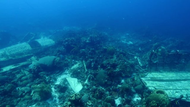 Elvin's Plane Wreck near Playa Kalki/ Cura&ccedil;ao /Netherlands Antilles