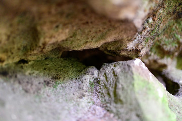 Felsspalte, Elbsandstein Gebirge