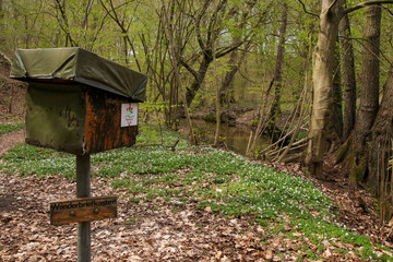 Natura Trail, Biesenthal, Wandern in Brandenburg