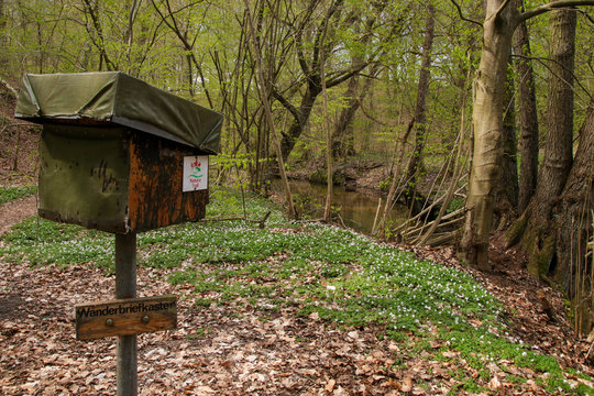 Natura Trail, Biesenthal, Wandern in Brandenburg