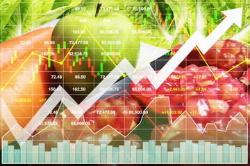 Stock financial index of successful investment on healthy food such as freshness  fruit and vegetable with graph and chart growth up background.