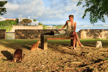 Beautiful woman playing with stray cats in the afternoon in San Juan, Puerto Rico
 - obrazy, fototapety, plakaty