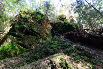 Fels, Elbsandstein Gebirge