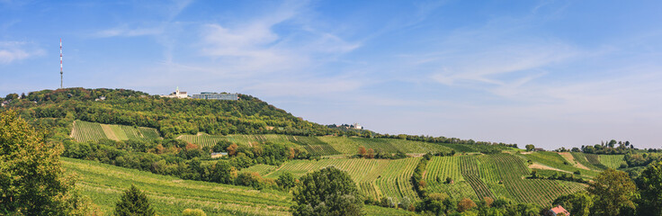 Panorama view over vineyard valley towards Kahlenberg and Leopldsberg