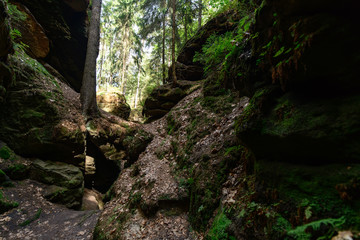 Felsen, Elbsandstein Gebirge