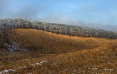 Orange steppe in the snow, hoarfrost. The winter steppe is frostbitten. Steppe landscape, nature.