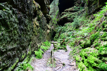 Flussbett, Elbsandsteingebirge