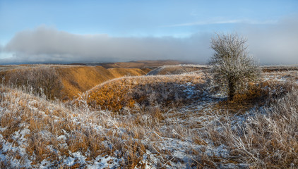 Orange steppe in the snow, hoarfrost. The winter steppe is frostbitten. Steppe landscape, nature.