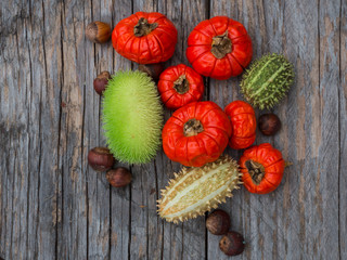 Autumn fruits