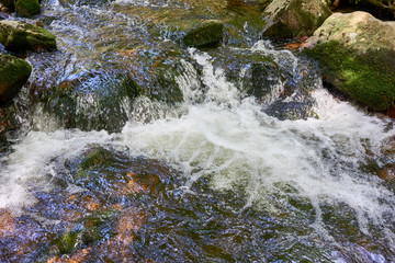 Close-up from a clear river in the forest