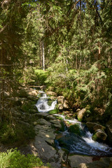 a clear river is flowing through natural cascades in the forest