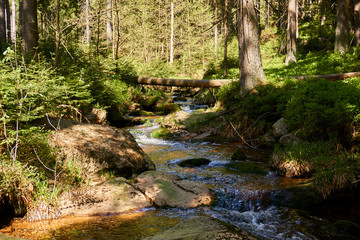 Naklejka na ściany i meble a clear river is flowing through natural cascades in the forest