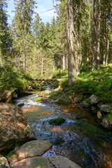 a clear river is flowing through natural cascades in the forest