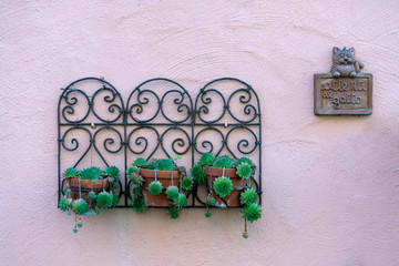 Rosa Hauswand mit schmiedeeieiserne verziehrte Blumentopfhalterung bestückt mit grünen pflanzen
