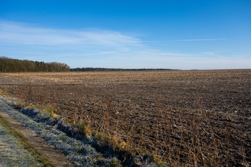 Landschaft mit Feldern und Wald bei Sonne im Sommer