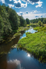 Summer landscape with a small river.