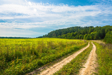 Landscape with a large field and a dirt road.