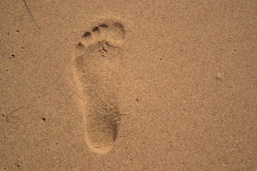 Fototapeta na wymiar child's footprint on the sand