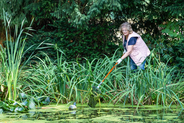 Frau entfernt mit einem Kescher Wasserlinsen aus einem Gartenteich