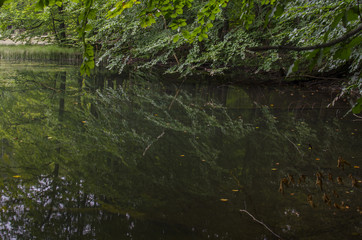 Jeziorka Dusztyńskie w lecie 