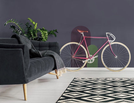 Patterned carpet in front of sofa with blanket in dark flat interior with pink bike and plant. Real photo