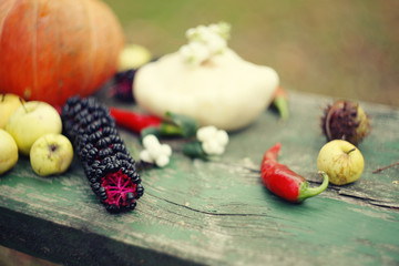 Fototapeta na wymiar Autumn harvest/ settings table/thanksgiving day background