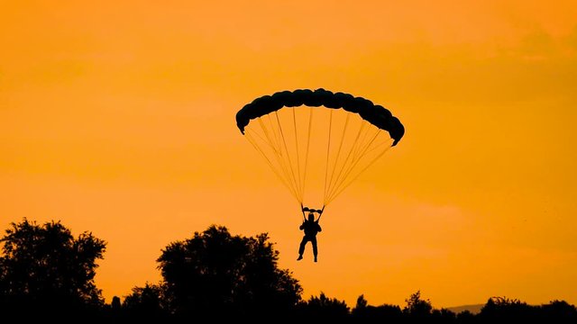 Silhouette of parachutist flying on parachute in golden sky during sunset in summer.