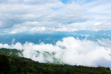 Fog and cloud mountain valley spring landscape.Forested mountain slope in low lying cloud with the evergreen conifers shrouded in mist in a scenic landscape view.