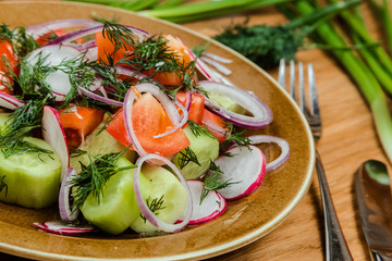 Fresh salad with tomatoes, onion and cucumbers.