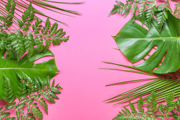Fresh tropical leaves on color background