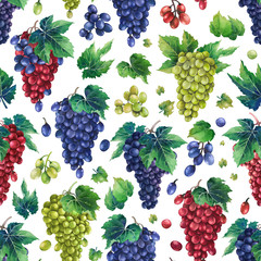 Watercolor bunches of white, blue and red grapes