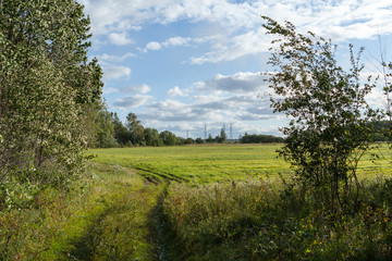 road in a field