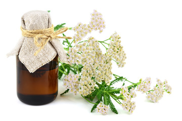 Yarrow (Achillea millefolium) Herbal Plant Essential Oil or Ticnture in Medicinal Bottle. Isolated on White Background. © Virtexie