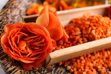 Beautiful roses with sea salt on tray, closeup