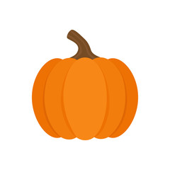 Orange pumpkin vector illustration. Autumn halloween or thanksgiving pumpkin, vegetable graphic icon or print, isolated.