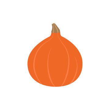 Hokkaido pumpkin, red kuri squash vector illustration. Autumn seasonal orange pumpkin graphic icon, isolated.