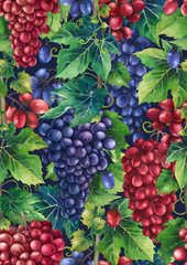 Watercolor pattern of red and blue grapes bunches