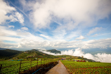 Gorgeous landscape of blue sky, white cloud and green hill. nature background and wallpaper, view from peak mountain.