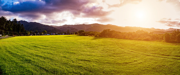 New Zealand green field sunrise