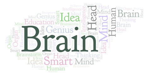 Obraz premium Brain word cloud.