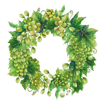 Watercolor wreath made of white grape bunches and leaves