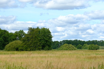 Fototapeta na wymiar Im Bereich der Flußlandschaft der Hamme im Sommer in der Umgebung von Worpswede