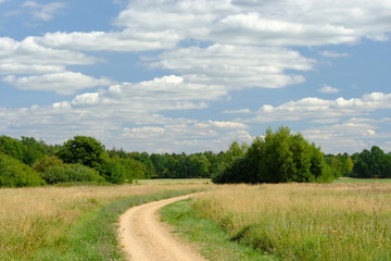 Im Bereich der Flußlandschaft der Hamme im Sommer in der Umgebung von Worpswede