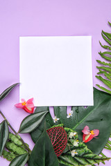 Composition with blank card and fresh tropical leaves on color background